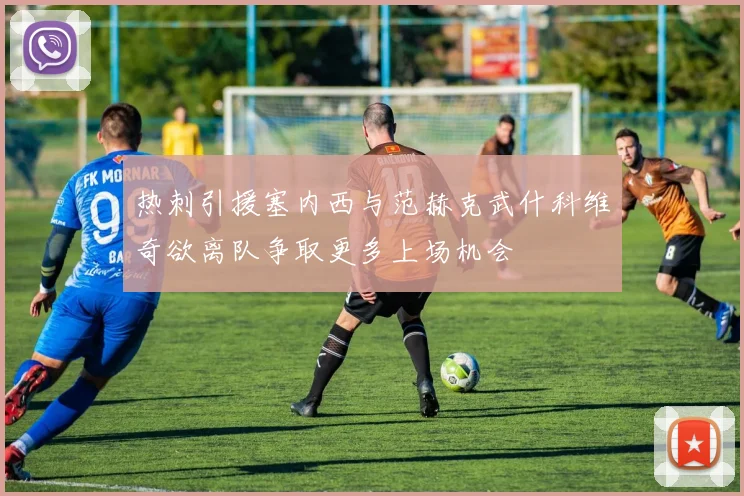 热刺引援塞内西与范赫克武什科维奇欲离队争取更多上场机会