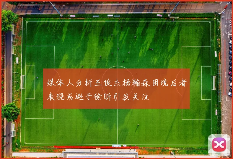 媒体人分析王俊杰杨瀚森困境后者表现或逊于徐昕引发关注