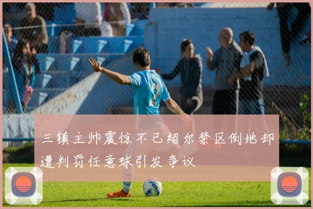 三镇主帅震惊不已绍尔禁区倒地却遭判罚任意球引发争议