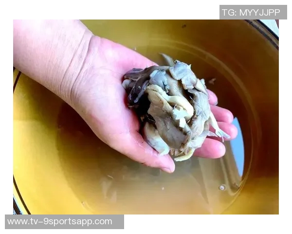 杨瀚森的日常生活：翻译工作与独自烹饪的简单乐趣