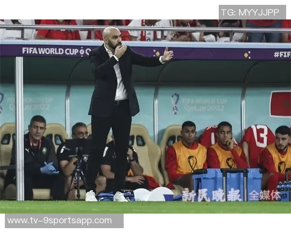 张斌专栏摩洛哥足球崛起之路背后的成功秘诀探讨